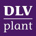 DLV Plant